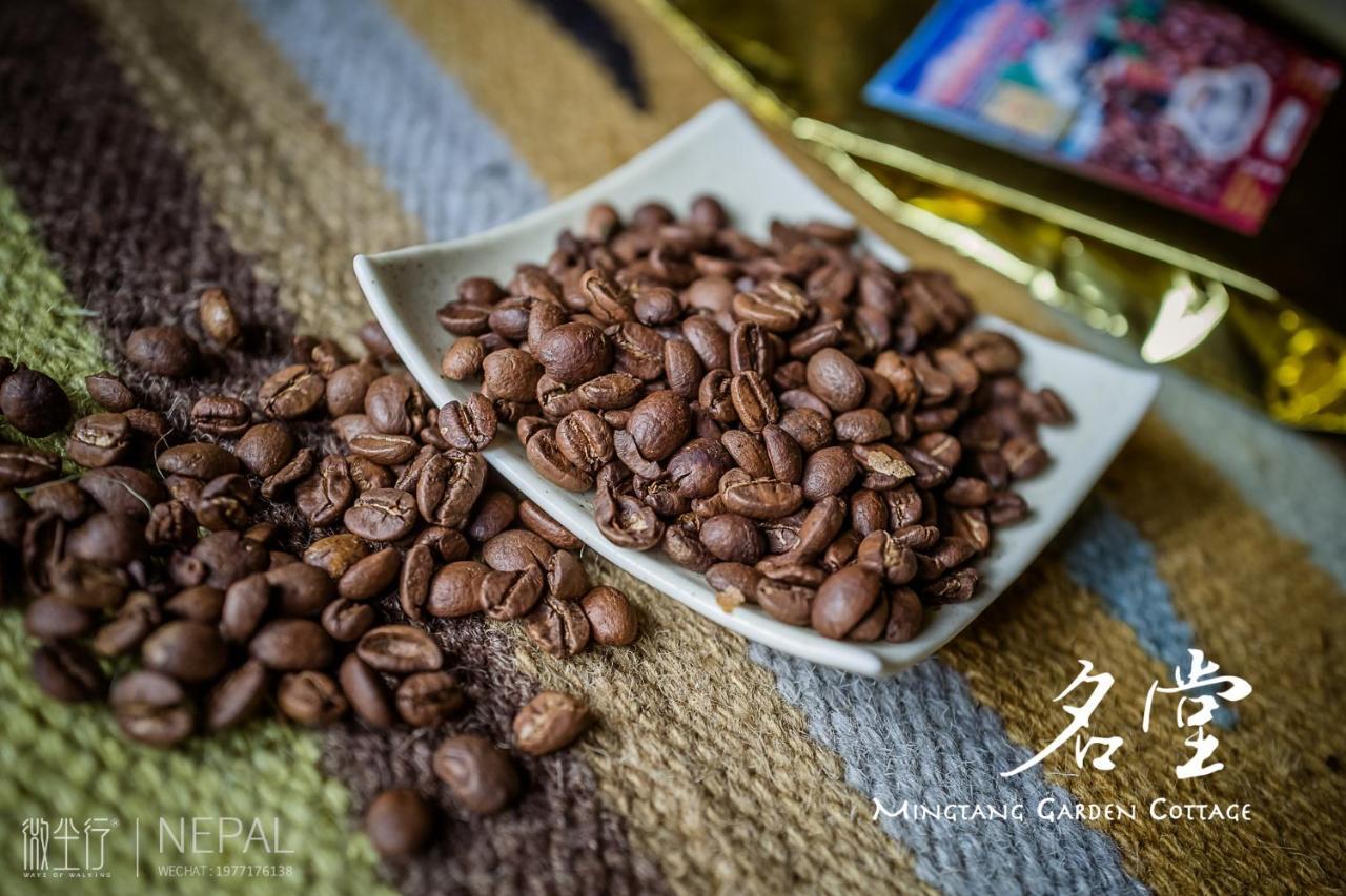 Mingtang Garden Cottage 名堂花园度假屋 Pokhara Luaran gambar